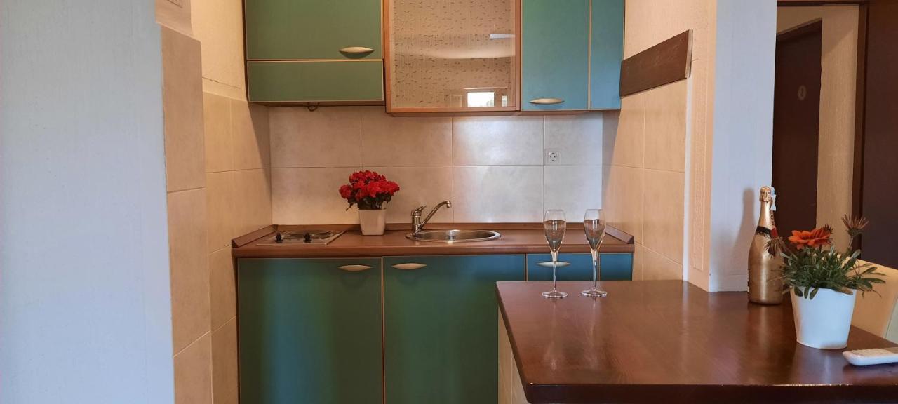 Ambassador Apartments Petrovac エクステリア 写真